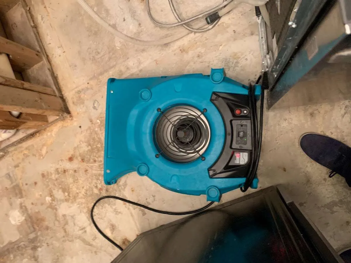 Air mover drying equipment for Mold Remediation & Removal in St. Louis Park